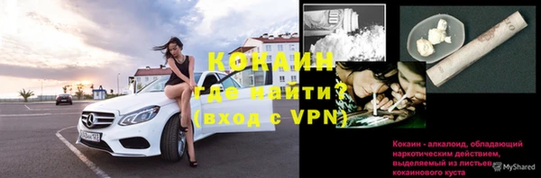 трава Бородино